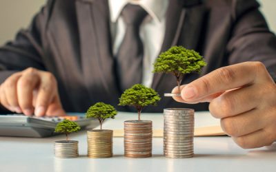 Transition écologique des entreprises : où trouver des financements ?