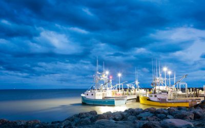 Hausse des prix de l’énergie : une aide pour les entreprises de pêche